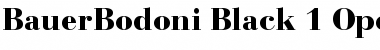 Download BauerBodoni Regular Font Title Preview