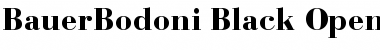 Download Bauer Bodoni Black Font Title Preview