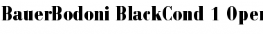 Download BauerBodoni Regular Font Title Preview