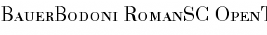 Download Bauer Bodoni Roman Small Caps & Oldstyle Figures Font Title Preview