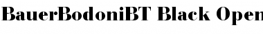 Download Bauer Bodoni Black Font Title Preview