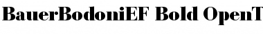 Download BauerBodoniEF Bold Font Title Preview