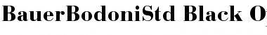 Download Bauer Bodoni Std 2 Black Font Title Preview