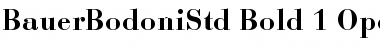 Download Bauer Bodoni Std 1 Bold Font Title Preview