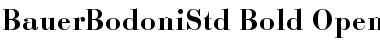 Download Bauer Bodoni Std 1 Bold Font Title Preview