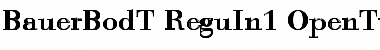 Download Bauer Bodoni T In1 Regular Font Title Preview
