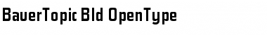 Download BauerTopic Bold Font Title Preview