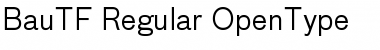 Download BauTF-Regular Regular Font Title Preview