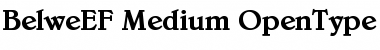 Download BelweEF-Medium Regular Font Title Preview