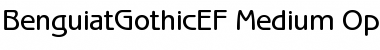 Download BenguiatGothicEF-Medium Regular Font Title Preview