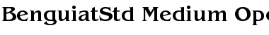Download ITC Benguiat Std Medium Font Title Preview
