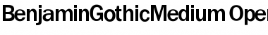 Download BenjaminGothicMedium Regular Font Title Preview