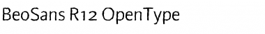 Download BeoSans R12 Font Title Preview