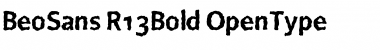 Download BeoSans R13 Bold Font Title Preview