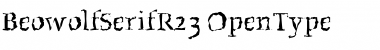Download Beowolf SerifR23 Font Title Preview