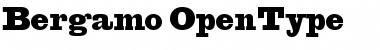 Download Bergamo Regular Font Title Preview
