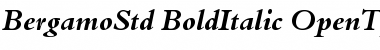 Download Bergamo Std Bold Italic Font Title Preview