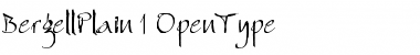 Download Bergell Plain Font Title Preview