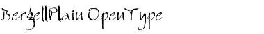 Download Bergell Plain Font Title Preview