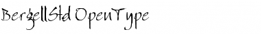 Download Bergell Std Regular Font Title Preview