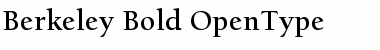 Download Berkeley Regular Font Title Preview