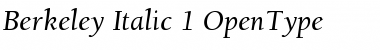 Download Berkeley Regular Font Title Preview