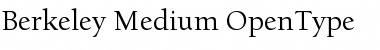 Download Berkeley Oldstyle Medium Font Title Preview