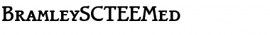 Download BramleySCTEEMed Regular Font Title Preview