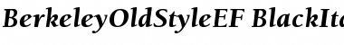 Download BerkeleyOldStyleEF BlackItalic Font Title Preview
