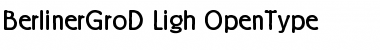 Download Berliner Grotesk D Light Font Title Preview