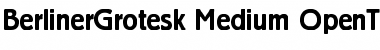 Download Berliner Grotesk Medium Font Title Preview