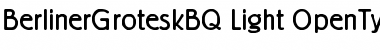 Berliner Grotesk BQ Regular Font Title Preview