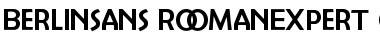 Download Berlinsans RomanExpert Font Title Preview