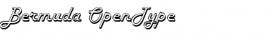 Download Bermuda Regular Font Title Preview