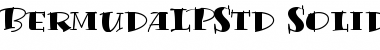 Download Bermuda LP Std Solid Font Title Preview