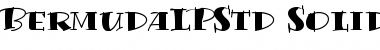 Download Bermuda LP Std Solid Font Title Preview