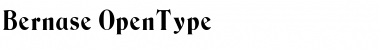 Download Bernase Regular Font Title Preview