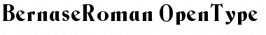 Download Bernase Roman Font Title Preview