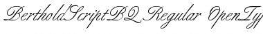 Download Berthold Script BQ Regular Font Title Preview