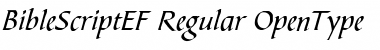 Download BibleScriptEF Regular Font Title Preview