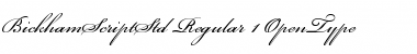 Download Bickham Script Std Regular Font Title Preview