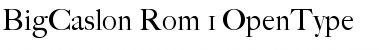 Download BigCaslon Rom Font Title Preview