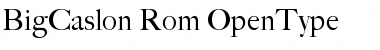 Download BigCaslon Regular Font Title Preview