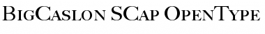 Download BigCaslon Regular Font Title Preview