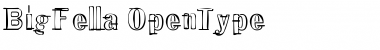 BigFella Regular Font Title Preview BigFella Regular Font Title Preview