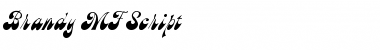 Download Brandy MF Script Font Title Preview
