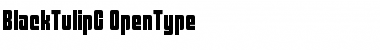 Download BlackTulipC Regular Font Title Preview
