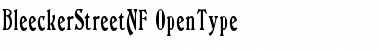 Download Bleecker Street NF Regular Font Title Preview