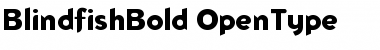 Download Blindfish Bold Font Title Preview