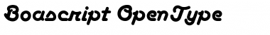Download Boascript Regular Font Title Preview